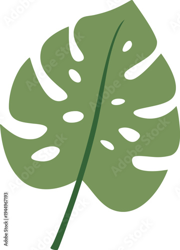 Hand Drawn Monstera Leaves Vector Elements