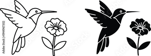 Hummingbirds and flowers illustration Vector
