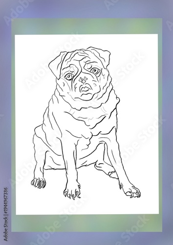 A pug dog illusrration art