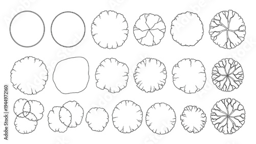 Diverse Top View Tree Plan Symbols Collection for Architectural and Landscape Design