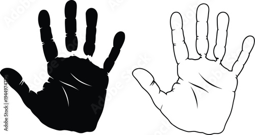Black and white hands, contrasting palms, human gesture Vector