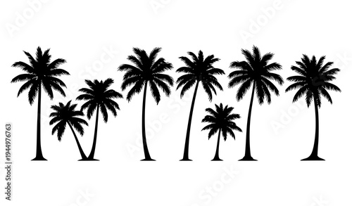 Coconut palm tree silhouettes horizontal tropical landscape vector illustration isolated on white