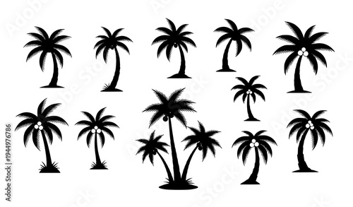 Coconut palm tree silhouette icon collection tropical island plant vector illustration set