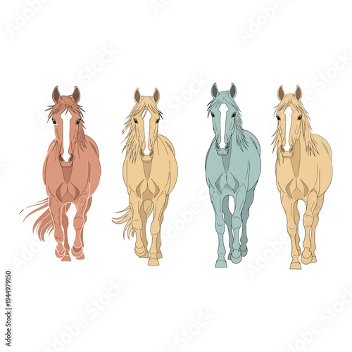 How to Properly Walk a Horse for Beginners and Experienced Riders