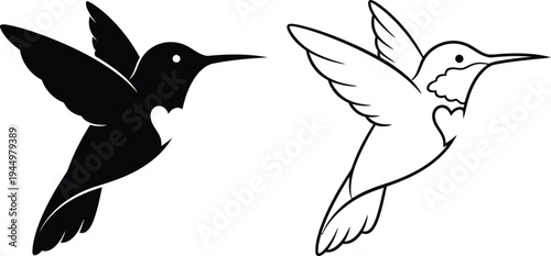 Hummingbirds in flight black and white illustration Vector