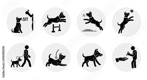 Dog Training and Activities