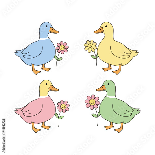 Exploring the Fascinating World of Ducks and Their Habitats