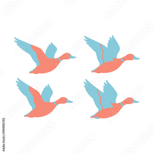 Discover the Fascinating World of Seagulls Birds