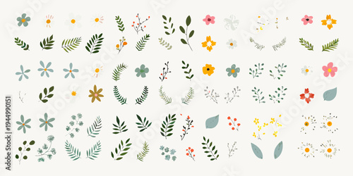 Collection of colorful floral and botanical illustrations on a light background