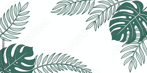 Tropical Leaves Border Design Monstera and Palm Fronds Green on White Background Stock Illustration