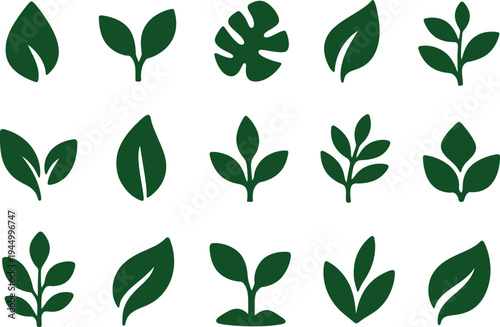 Collection of diverse green leaves on white background