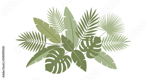 Tropical leaves arrangement in jungle foliage landscape