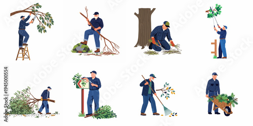 Set of flat vector illustrations featuring a senior man performing various tree care and gardening tasks such as pruning, sawing, and raking.