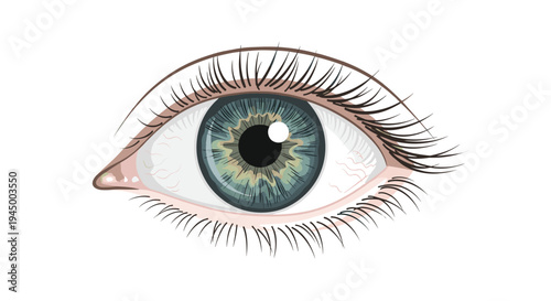A detailed human eye with a blue-green iris, black pupil, and long eyelashes is depicted against a plain white background.