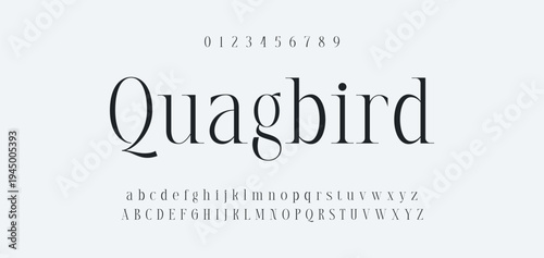 Luxury alphabet letters font and number. Typography elegant wedding classic lettering serif fonts decorative vintage retro concept. vector illustration