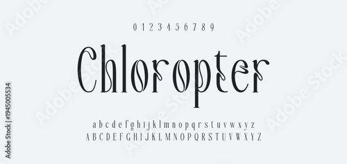 Luxury alphabet letters font and number. Typography elegant wedding classic lettering serif fonts decorative vintage retro concept. vector illustration