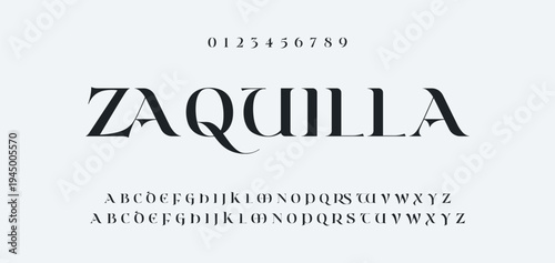 Luxury alphabet letters font and number. Typography elegant wedding classic lettering serif fonts decorative vintage retro concept. vector illustration