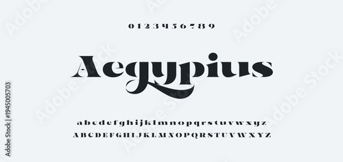 Luxury alphabet letters font and number. Typography elegant wedding classic lettering serif fonts decorative vintage retro concept. vector illustration