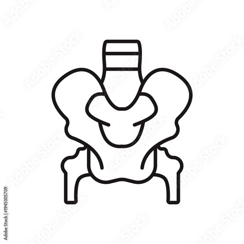 pelvis icons minimalist flat style design, pelvis Vector illustration on white background