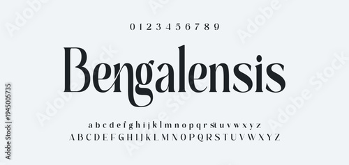 Luxury alphabet letters font and number. Typography elegant wedding classic lettering serif fonts decorative vintage retro concept. vector illustration