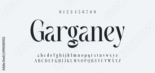 Luxury alphabet letters font and number. Typography elegant wedding classic lettering serif fonts decorative vintage retro concept. vector illustration