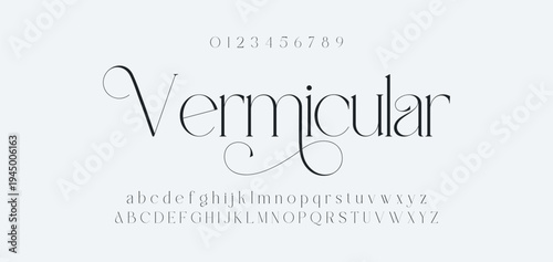 Luxury alphabet letters font and number. Typography elegant wedding classic lettering serif fonts decorative vintage retro concept. vector illustration
