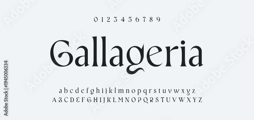 Luxury alphabet letters font and number. Typography elegant wedding classic lettering serif fonts decorative vintage retro concept. vector illustration