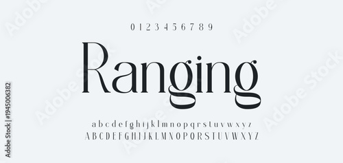 Luxury alphabet letters font and number. Typography elegant wedding classic lettering serif fonts decorative vintage retro concept. vector illustration