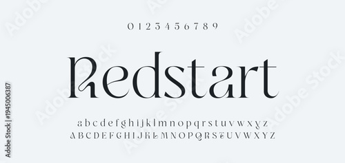 Luxury alphabet letters font and number. Typography elegant wedding classic lettering serif fonts decorative vintage retro concept. vector illustration