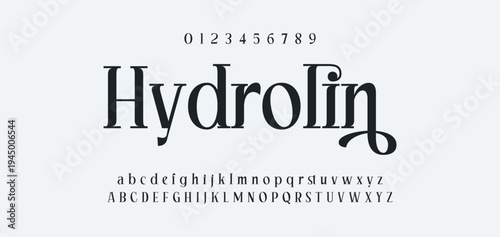 Luxury alphabet letters font and number. Typography elegant wedding classic lettering serif fonts decorative vintage retro concept. vector illustration