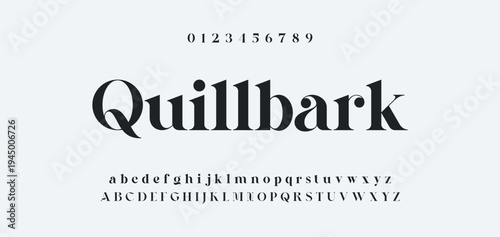 Luxury alphabet letters font and number. Typography elegant wedding classic lettering serif fonts decorative vintage retro concept. vector illustration