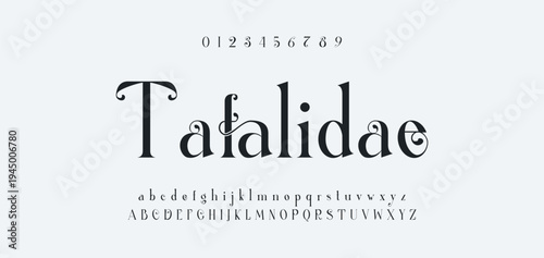 Luxury alphabet letters font and number. Typography elegant wedding classic lettering serif fonts decorative vintage retro concept. vector illustration