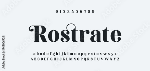 Luxury alphabet letters font and number. Typography elegant wedding classic lettering serif fonts decorative vintage retro concept. vector illustration