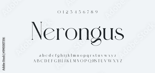 Luxury alphabet letters font and number. Typography elegant wedding classic lettering serif fonts decorative vintage retro concept. vector illustration