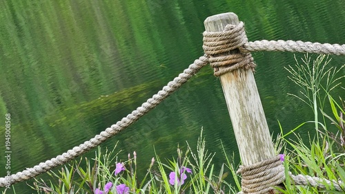Fotografi An  old rope tied and knot a wooden pole at shore of lake with reflection of the leaves