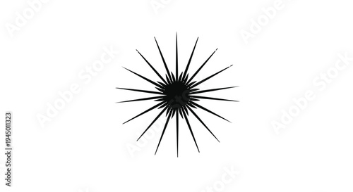 Abstract starburst pattern radiating outwards on a clean white background.