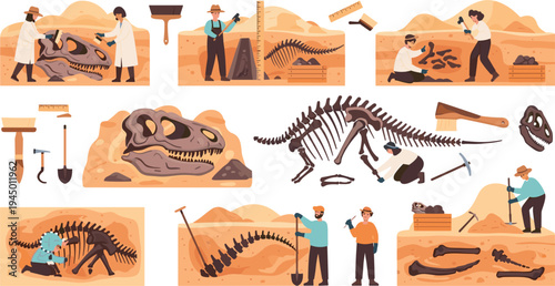 Dinosaur Fossil Excavation and Paleontology Research Scene Collection with Scientists Discovering Skeleton Bones and Archaeological Dig Tools Educational Vector Illustration Set