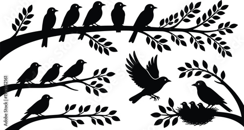 Black silhouette collection of birds on branches including flying bird and mother bird with nestlings in nest isolated on white background for nature design
