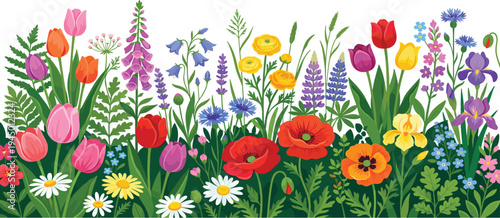 A vibrant border of colorful spring and summer wildflowers including daisies, tulips, poppies, and irises