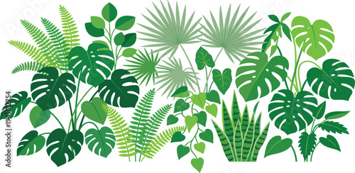 Lush and Vibrant Collection of Exotic Tropical Leaves and Houseplants, a Diverse Assortment of Green Botanical Elements for Design and Decoration