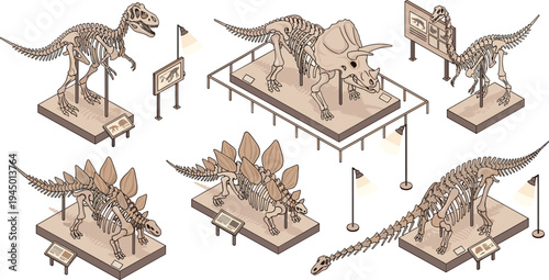 Dinosaur Skeleton Museum Exhibition Collection with Prehistoric Fossil Displays Tyrannosaurus Triceratops and Stegosaurus Bones Natural History Paleontology Vector Illustration Set