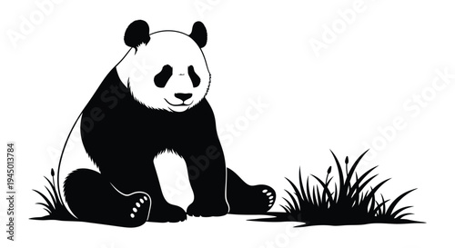 Vector panda illustration, black and white cartoon animal