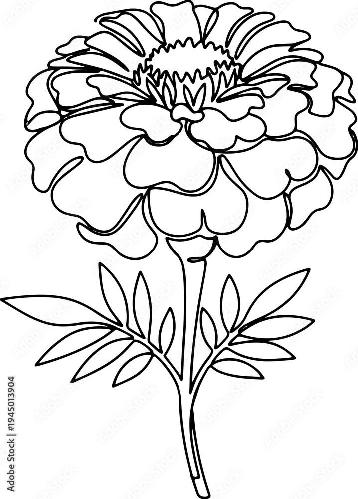 Obraz premium Flower Line Art Botanical Floral Outline Vector Illustration