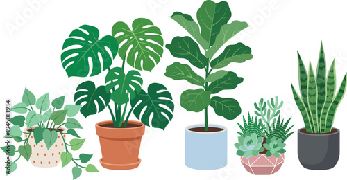 Vibrant collection of diverse potted houseplants, featuring popular varieties like Monstera, Fiddle Leaf Fig, Snake Plant, and succulents, perfect for indoor decor and gardening concepts