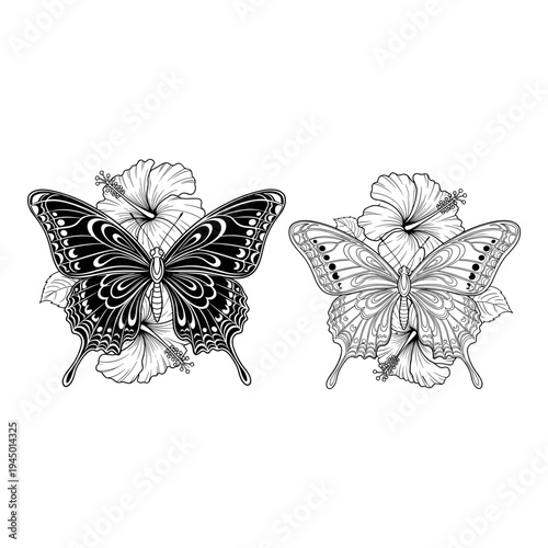 Detailed line drawing of two intricate butterfly species on flowering plants Vector, illustration