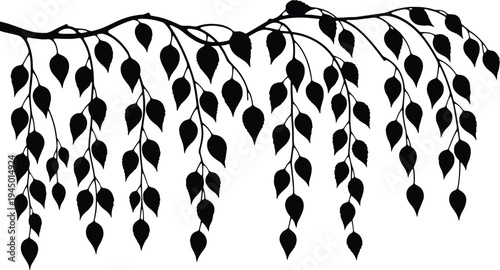 Black silhouette of hanging tree branch with leaves featuring weeping willow style foliage as a natural border isolated on white background for decorative design (25 words)