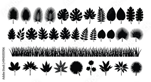 Variety of tropical leaves and grasses in a black and white illustration