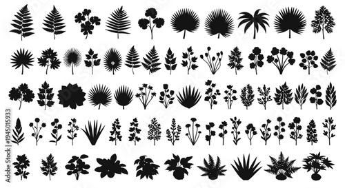 Collection of various black silhouette tropical and fern leaf designs