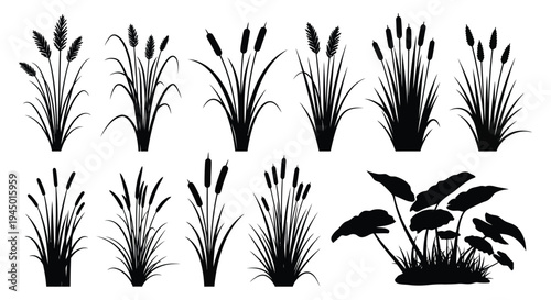 A collection of cattails and aquatic plants depicted in a striking black silhouette high quality professional