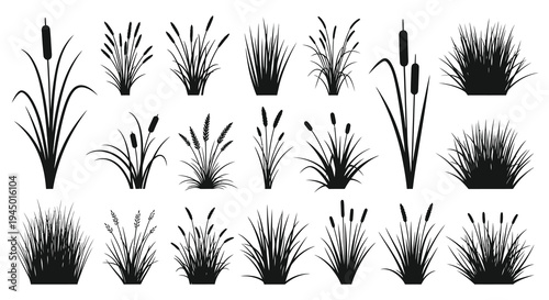 A collection of black reeds cattails and grasses depicted in a striking silhouette high quality professional